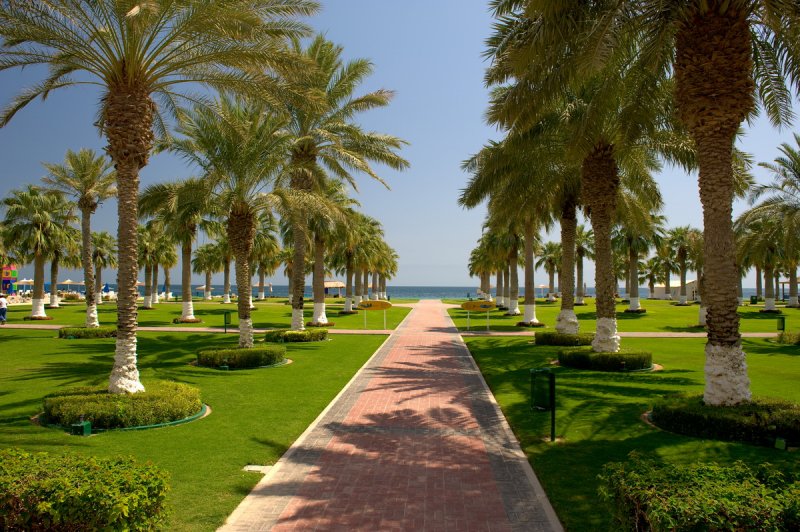 Qatar 018.JPG