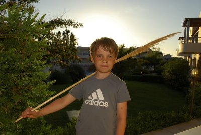 Crete 2006 15.jpg