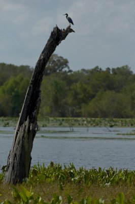 A Week in Texas 06.jpg