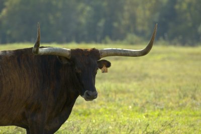 A Week in Texas 22.jpg