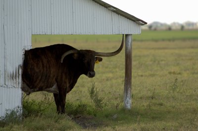 A Week in Texas 42.jpg