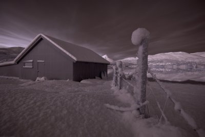 Infrared 01.jpg