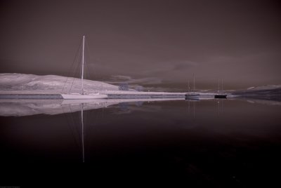 Infrared 03.jpg