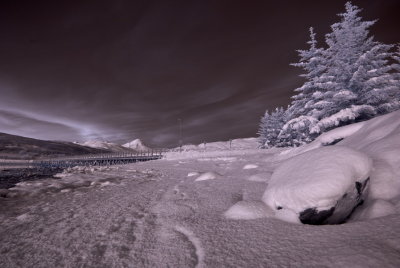 Infrared 08.jpg