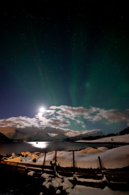 Magic Light 79.jpg