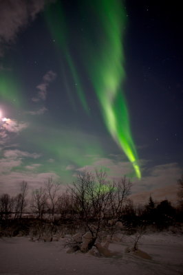 Magic Light 88.jpg