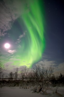 Magic Light 89.jpg