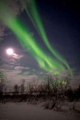 Magic Light 90.jpg