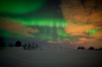 Magic Light 93.jpg