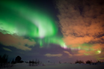 Magic Light 94.jpg