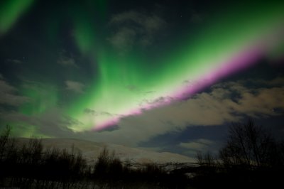 Magic Light 97.jpg