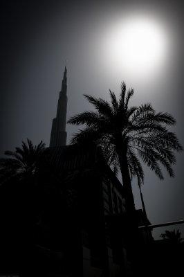 A week in Dubai 2012 083.jpg