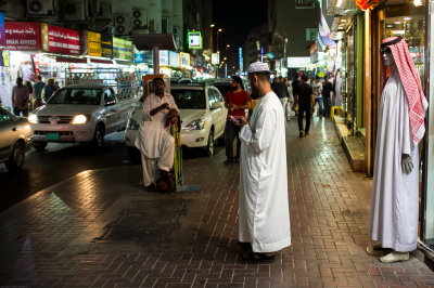A week in Dubai 2012 110.jpg