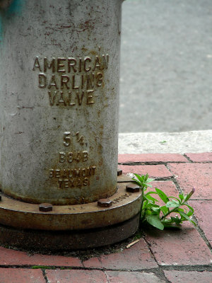 darling valve.jpg