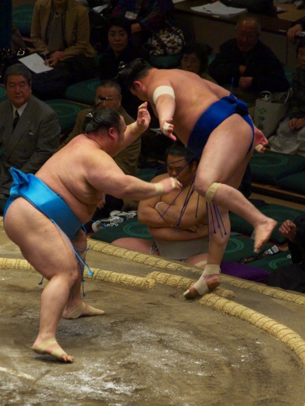 P1166303.jpg
