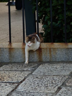 kamakura2009