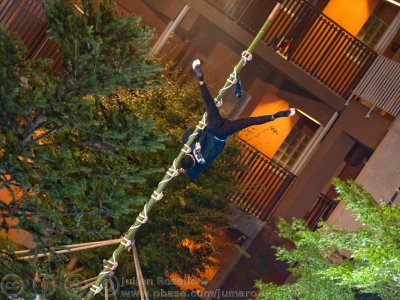 Hashigonori; Japanese ladder climbing acrobatics