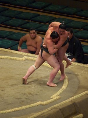 P1166208.jpg