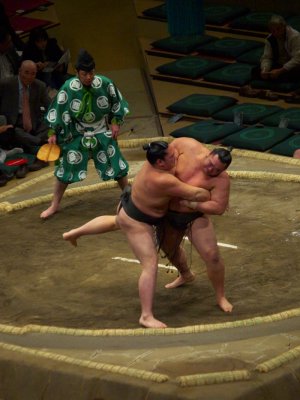 P1166219.jpg