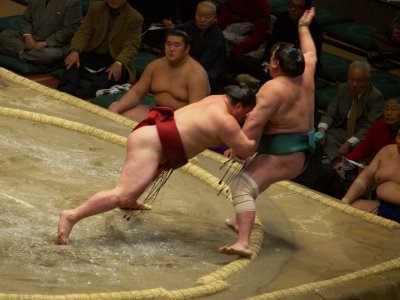 P1166334.jpg