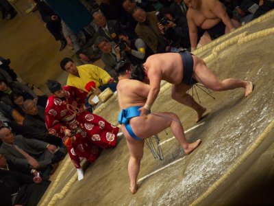 P1166447.jpg