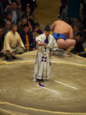 P1166523.jpg
