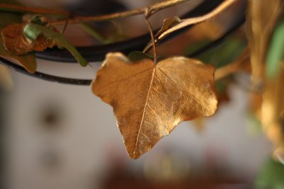 Xmas gold leaf