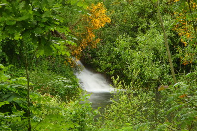 Waterfall, Deer Park, Cornwall, UK