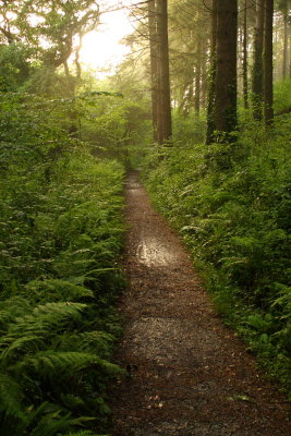 Path, Deer Park, Cornwall, UK