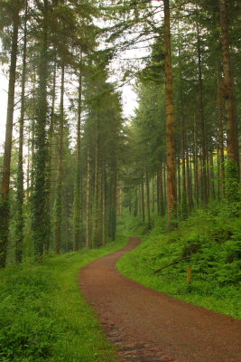Walk through,Deer Park, Cornwall, UK