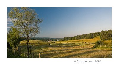 Valle Estivalle