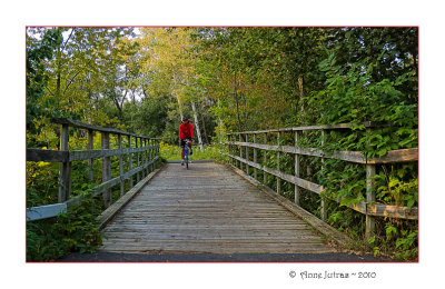 Crossing Bridge