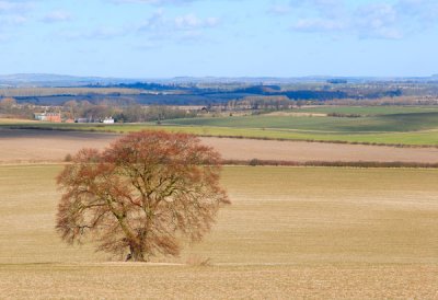 View from Swincombe (Chilterns)