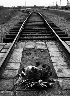 Auschwitz-Birkenau, end of the line