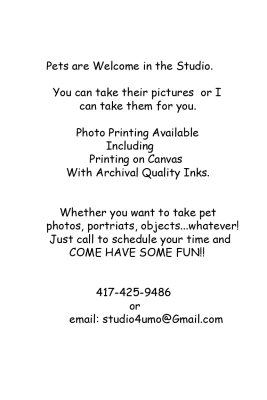 studio_info