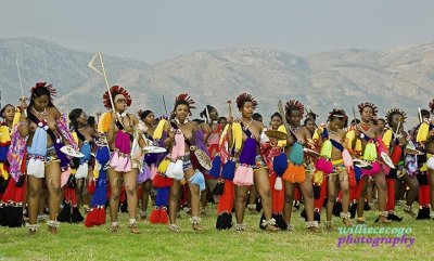  Reed Dance Ceremony 2009 _A