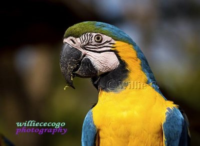 DSC_3035.jpg