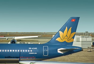 DSC_2359- Vietnam Airline.jpg