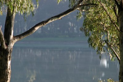 Morning reservoir