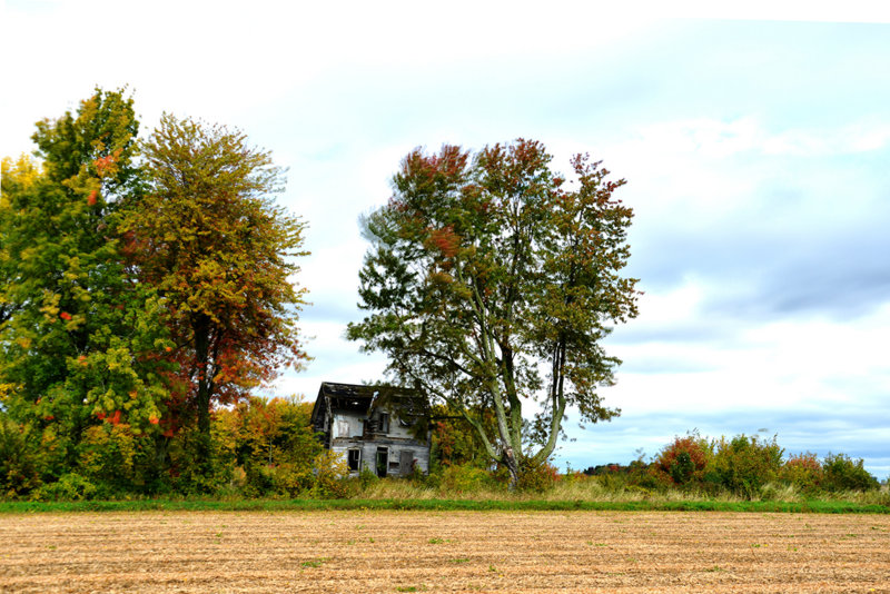 Borderline Rd. Ontario