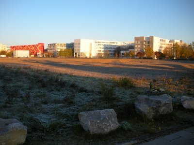 Siemens campus after a freeze