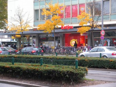 Bunches of bikes everywhere