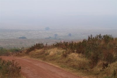 IMG_3020.JPG