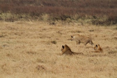 IMG_3089.JPG