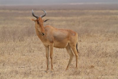 IMG_3135.JPG