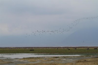 IMG_3152.JPG