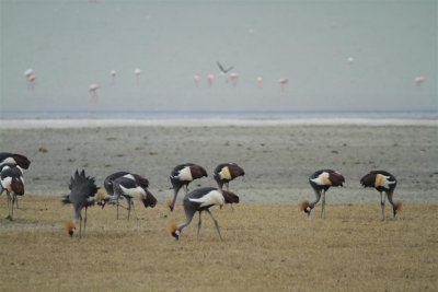 IMG_3244.JPG