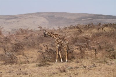 IMG_3406.JPG