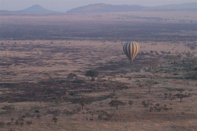Serengeti Balloon Trip