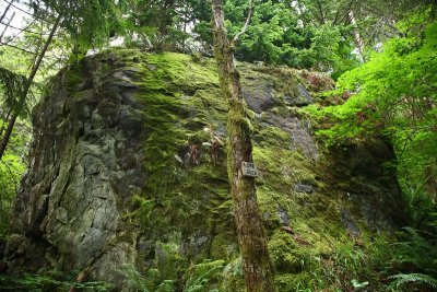 TigerMt_14Jul2009_ 097_LoneRock.JPG